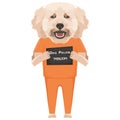 Mugshot prison clothes dog Poodle